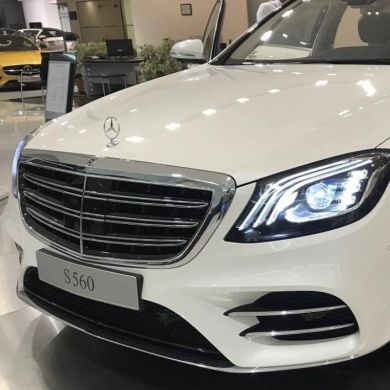 misbah alshaybani Profile Picture