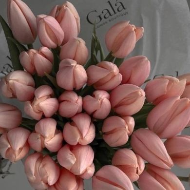 Mariya Safarova<3 Profile Picture