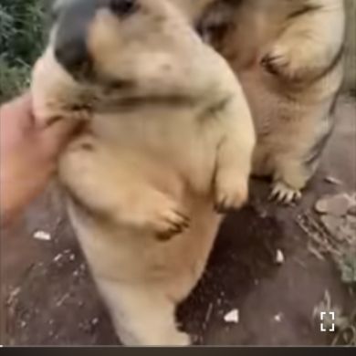 111 222 Profile Picture