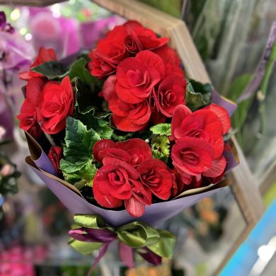 Mavile Gafurova Profile Picture