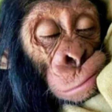 Movladi Tatin Profile Picture