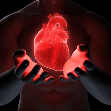 ۞НЕДУГИ СЕРДЦА۞ profile picture