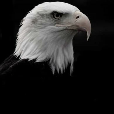 Muhammedali Talgaruly