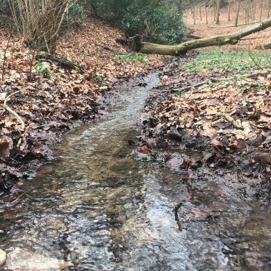 Мухаммед Шаборз