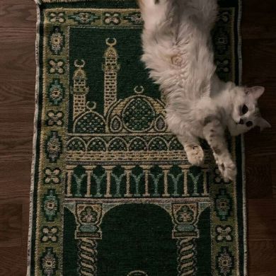 Марьям Гарумова