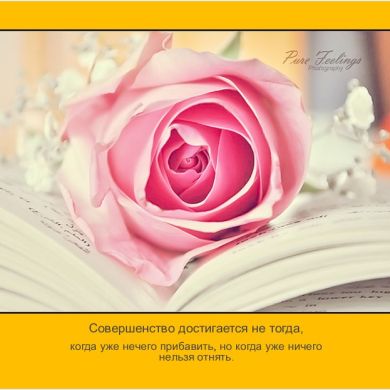 Sofi Kugu Profile Picture