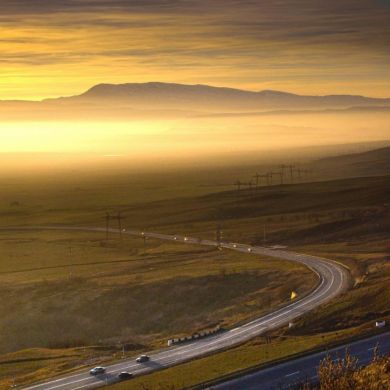 Is Za Profile Picture