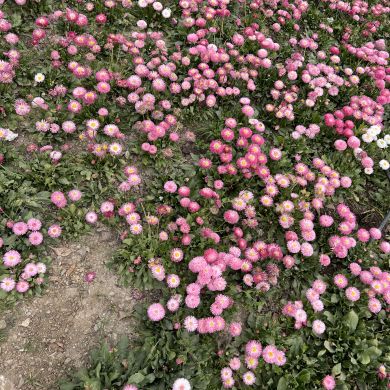 Мадина Мади Profile Picture