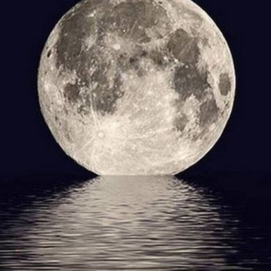 Руслан Тамриев  Profile Picture