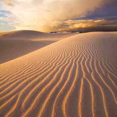 Умм Усман Profile Picture