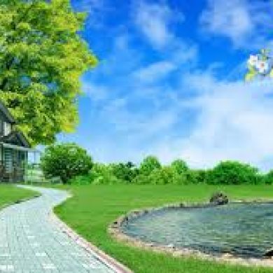 ABDALRAHEEM HARROUS Profile Picture