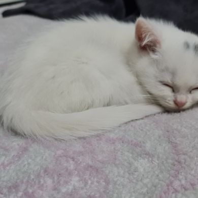 avar Jan Profile Picture