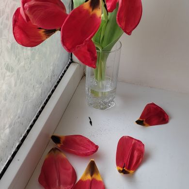 Абдулхакова Дибировна Profile Picture