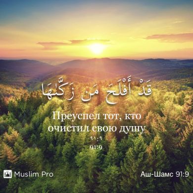 Убайдула Омаров Profile Picture