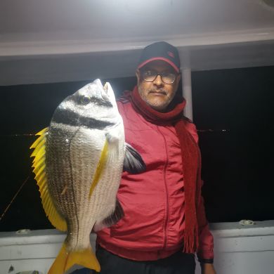 Mohamed Ali Profile Picture