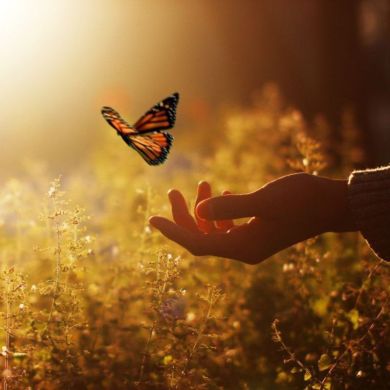 Фатима Очархаджиева