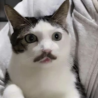 Kamal Batilgereev Profile Picture