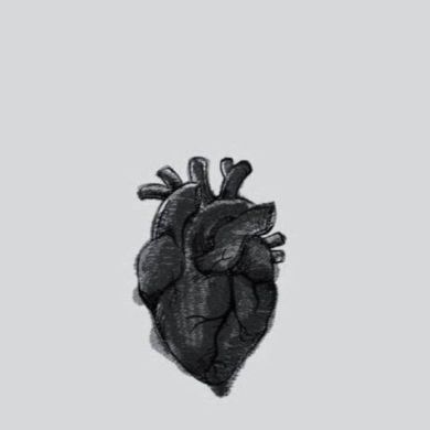 Таухид - Акъида Profile Picture