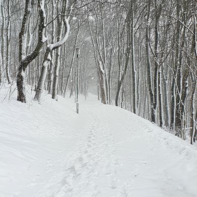 على يقوبوف Profile Picture