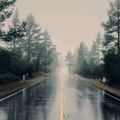 Rouqayya Ibrahim Profile Picture