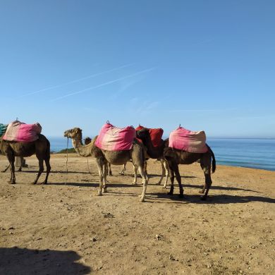 Эльвира Нигматзянова Profile Picture