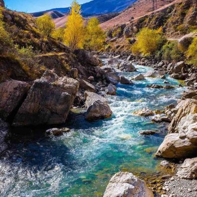 Курбан Курбанов Profile Picture