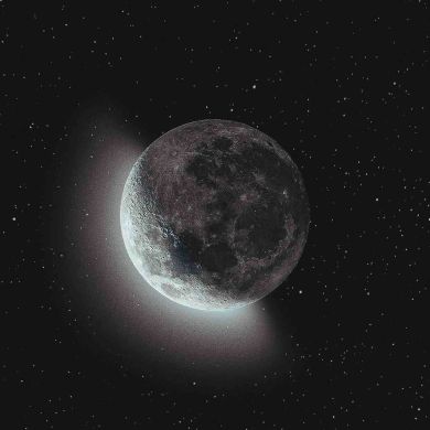 Gadzhimurad Magomedo