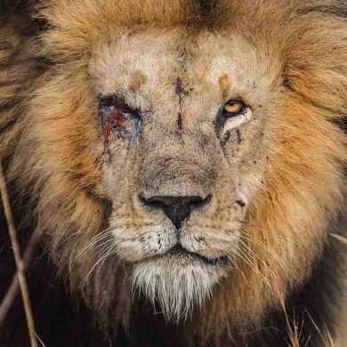 Мухаммад  Мухаммадов Profile Picture