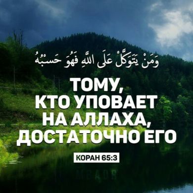 Ашамаз  Керимов  Profile Picture