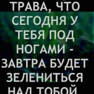 yusup  Taimasxan Profile Picture