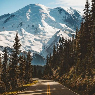 Юлия Баржанова Profile Picture