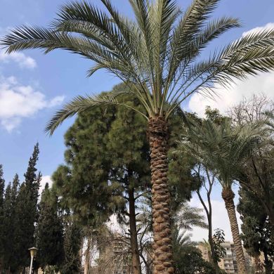 Умм Хузайфа  Исалдибирова Profile Picture