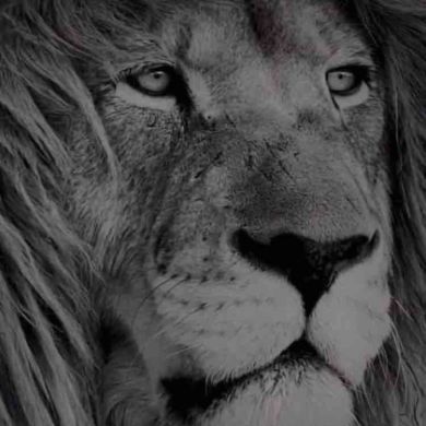 Amal Abaza Profile Picture