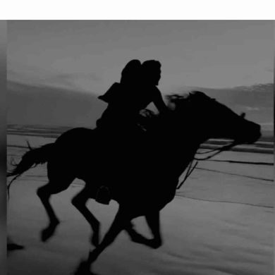 Мухаммад Сурхаев  Profile Picture