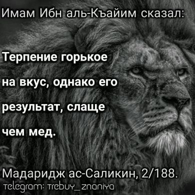 Ибрахим     басаев Profile Picture