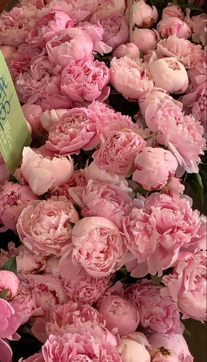 kaitmazova sara Profile Picture