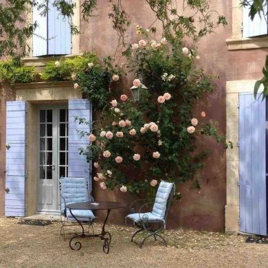 Bint Abdulmazhid Profile Picture