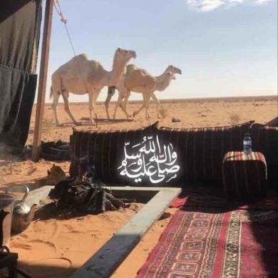 Ислам Исаев Profile Picture