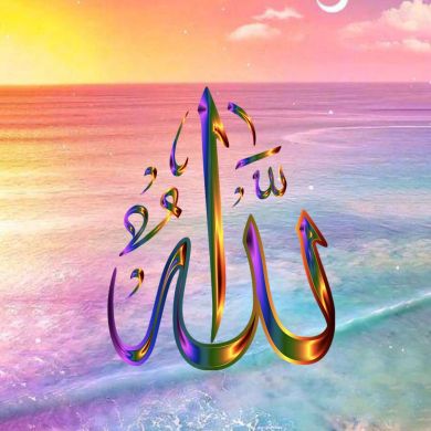 Айна Плиева Profile Picture