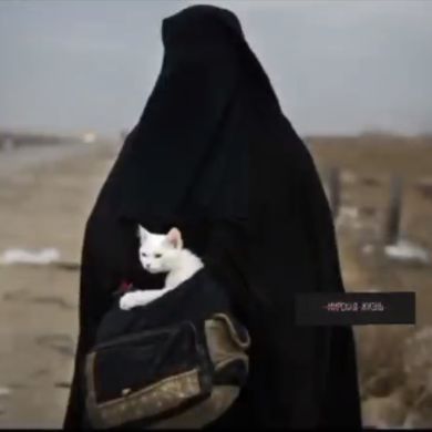 Хава Басханова profile picture