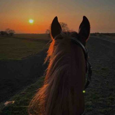 Виктория  Сугаипова