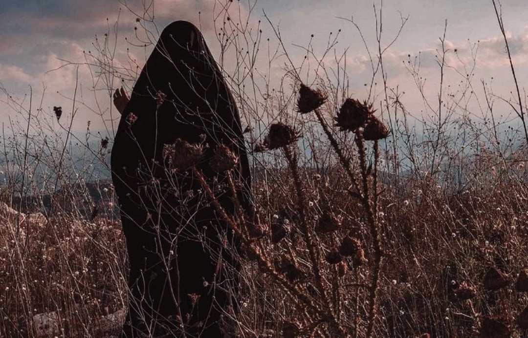 Марйам ... Profile Picture