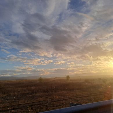 fyrg zingalh Profile Picture