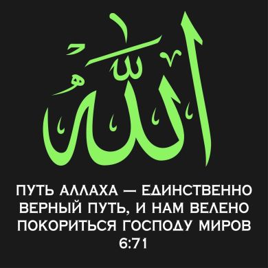 Shodmon  Azizov  Profile Picture