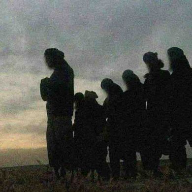 Шамсудин  Абдулкафаров  Profile Picture