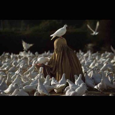 Хадиджа  Умм Таймия Profile Picture