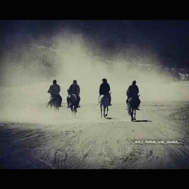 Ahmed Magomedov Profile Picture