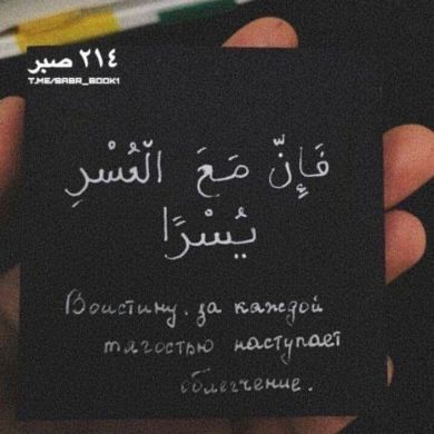 Шамиль Магомедов Profile Picture