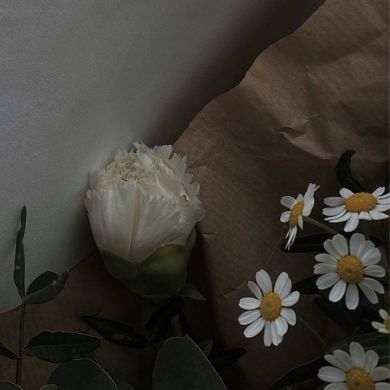 Ami Kurbanova Profile Picture