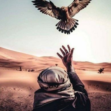 Салим Самиев Profile Picture